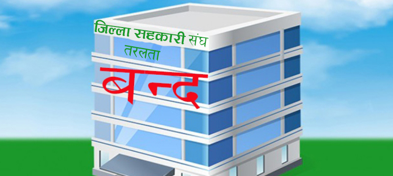 जिल्ला संघमा रहेको तरलतालाई पनि मान्यता दिनु पर्ने 